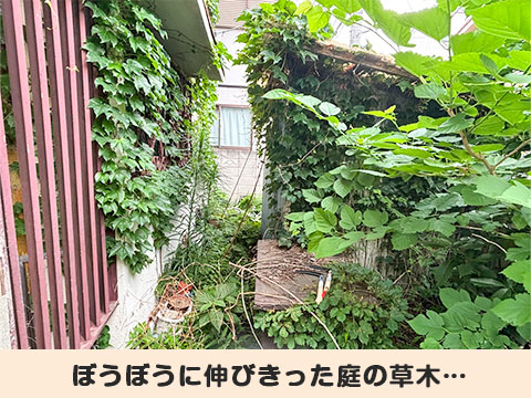 サービスイメージ