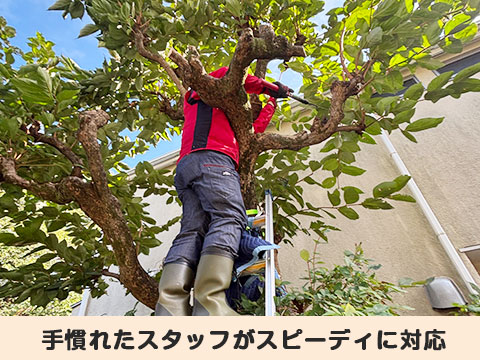 サービスイメージ