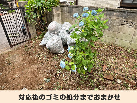 サービスイメージ
