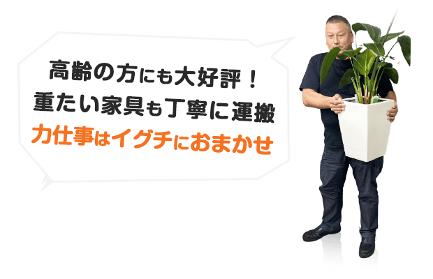 メインイメージ