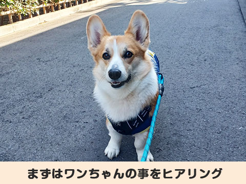 サービスイメージ