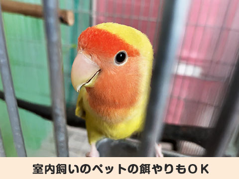 サービスイメージ